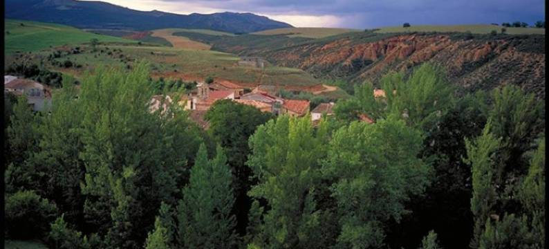 El Rincón de Monasterio图片