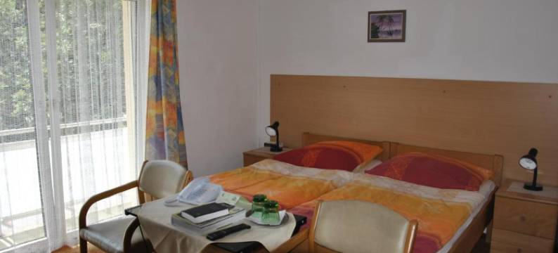 Gasthof Und Pension Haunschmid图片