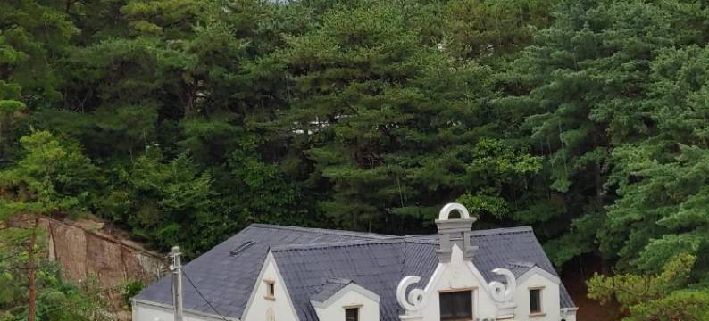 The Castle Stay图片