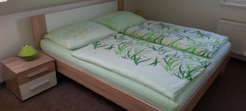 斯塔利赛德罗诺夫旅馆(Guest House Stary Sedlonov)图片