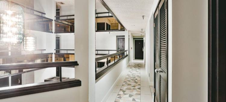 国际酒店(Hotel International)图片