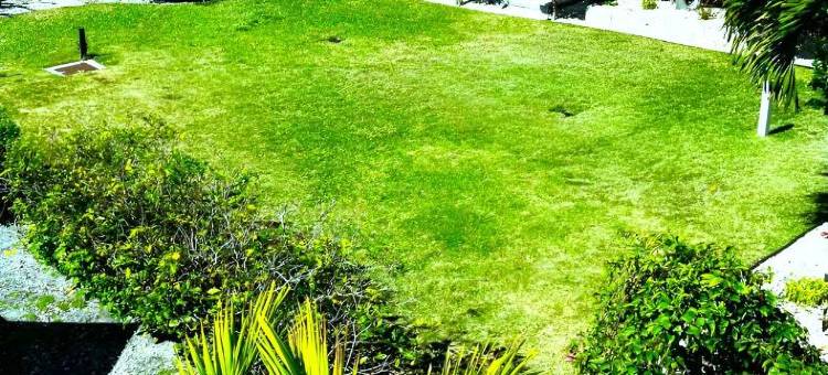 灯笼套房酒店-萨拉索塔(Lantern Inn & Suites - Sarasota)图片