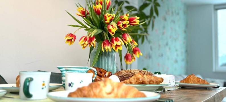 特劳恩湖公寓(Traunseeresidenzen)图片