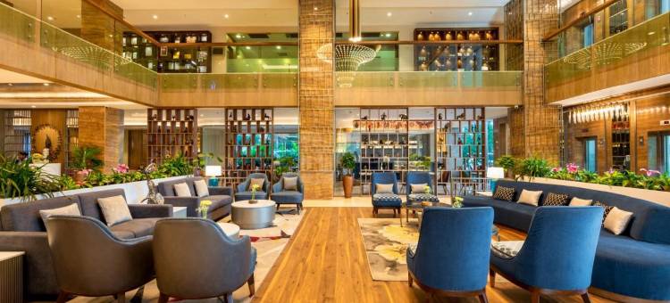 快捷商务豪华酒店(Express Inn the Business Luxury Hotel)图片