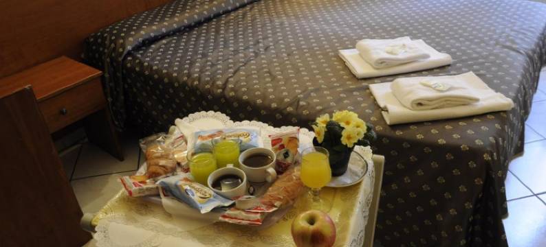 法瑞尼酒店(Hotel Farini)图片