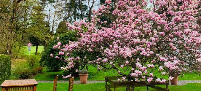 瓦尔德酒店(Landhotel Waldhaus)图片