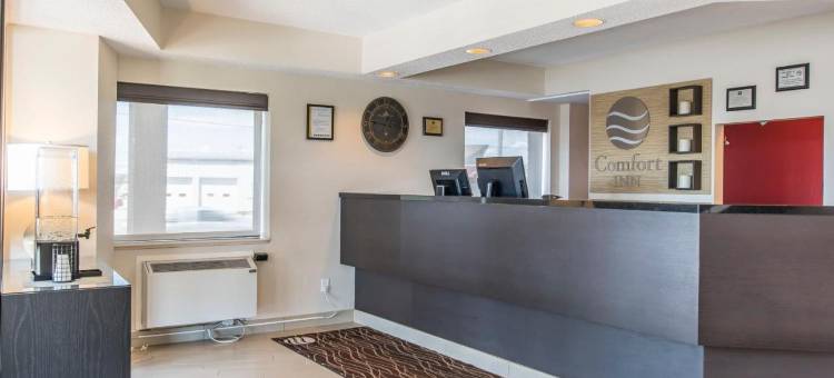 南部舒适酒店(Comfort Inn South)图片