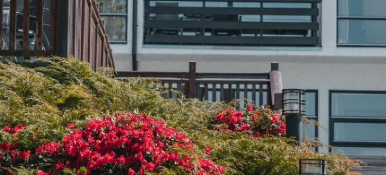 费地阿菲奥酒店(Fitjar Fjordhotell)图片