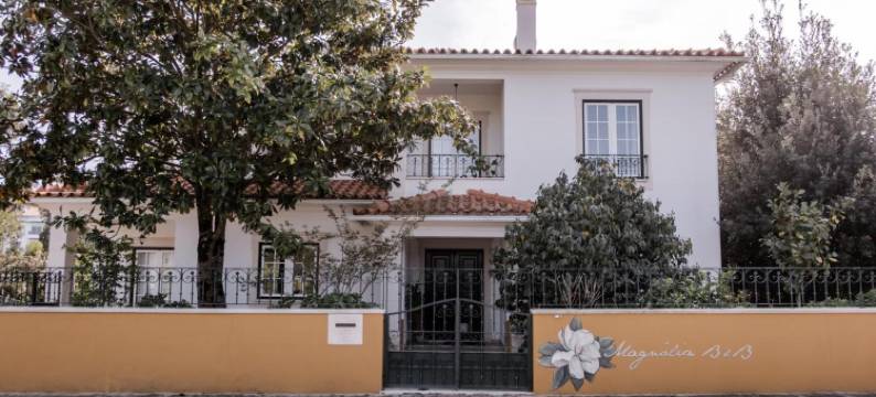 玉兰花住宿加早餐旅馆(Magnolia B&B)图片