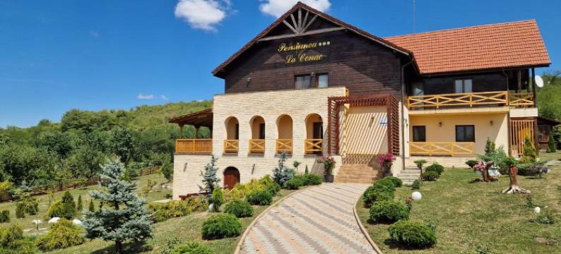 Pensiunea la Conac图片