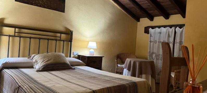 卡索纳酒店(La Casona de Jaraiz)图片