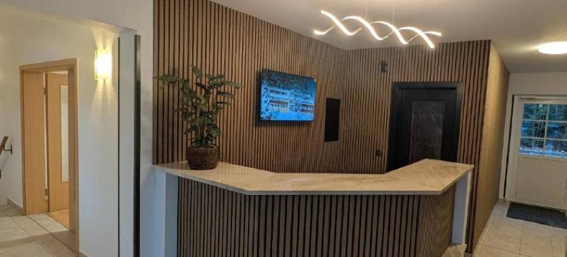 拜德布兰巴赫公园酒店(Parkhotel Bad Brambach)图片