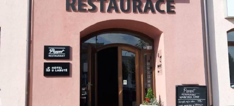 乌拉布特酒店(Hotel U Labutě)图片