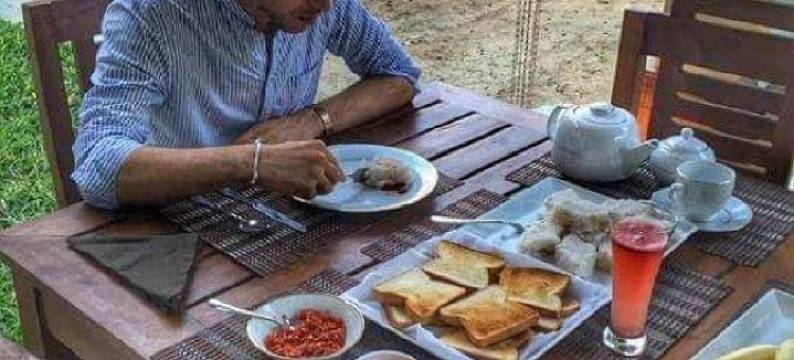 森林木屋(The Forest Chalet)图片