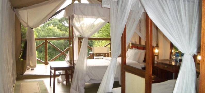 马赛马拉无花果树露营地酒店(Fig Tree Camp - Maasai Mara)图片