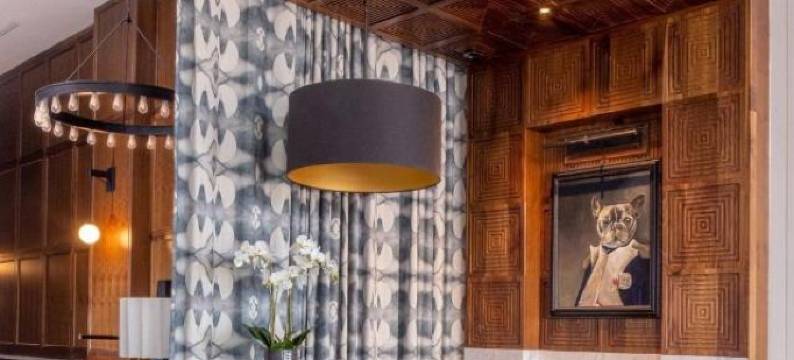 路易斯酒店(The Louis Hotel)图片