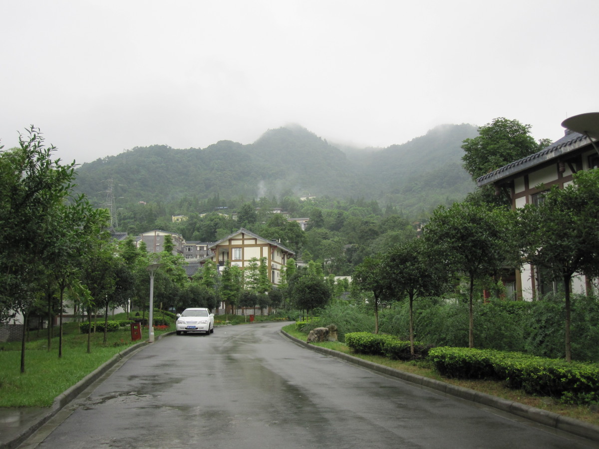 侏罗纪温泉公园酒店-客卧