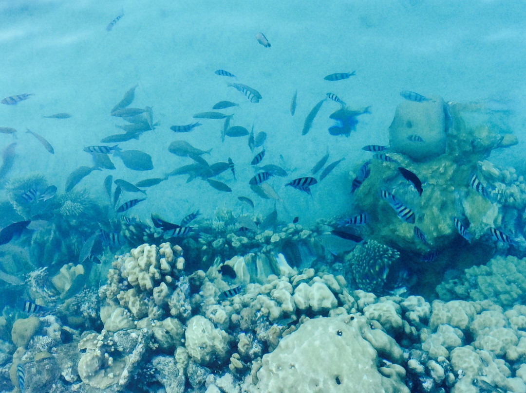 Miramar Resort Taba Heights