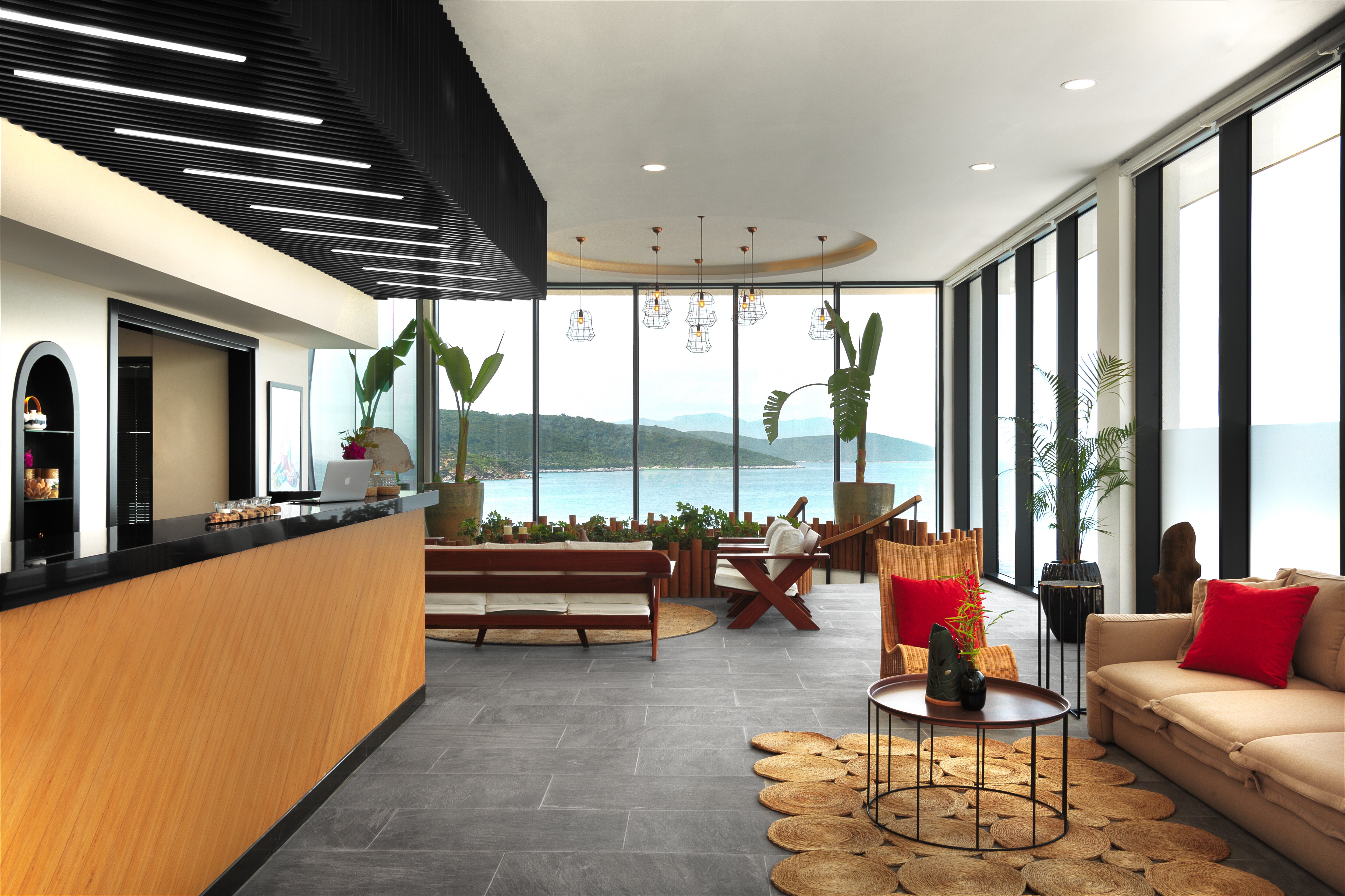 Vitalica Wellness-官方