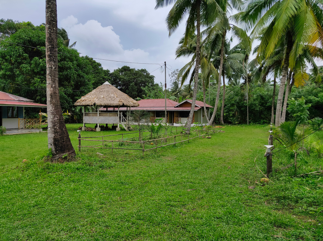 OYO 61822 Saddle Peak View Resort