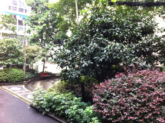 重庆科技学院