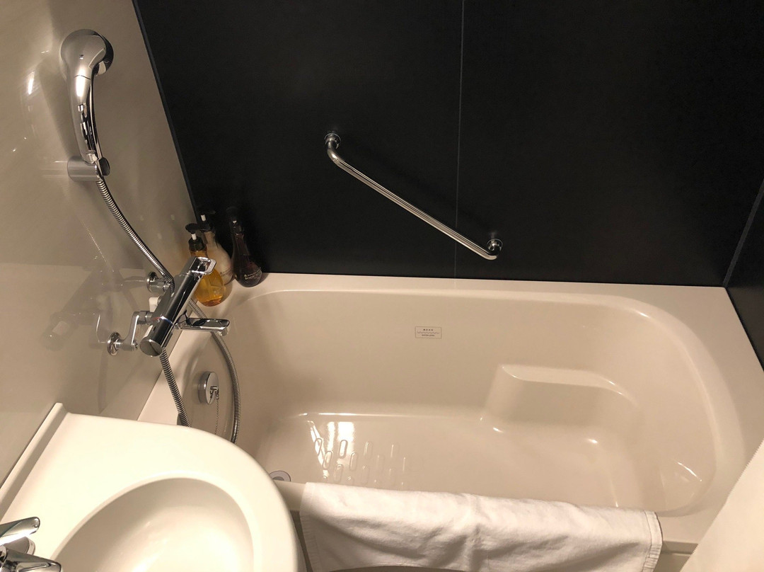 ibis Styles Tokyo Ginza East主图