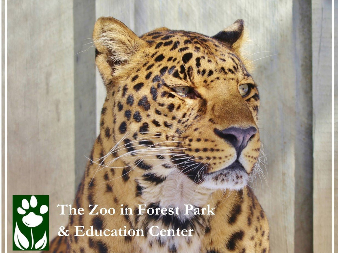 The Zoo in Forest Park & Education Center景点图片
