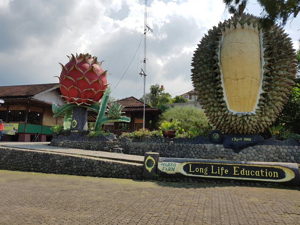 Warso Durian Farm景点图片