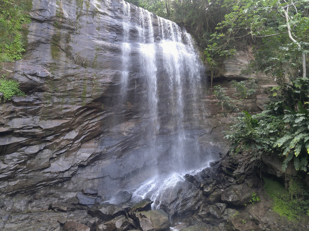 Royal Mount Carmel Falls-格林纳达必去景点
