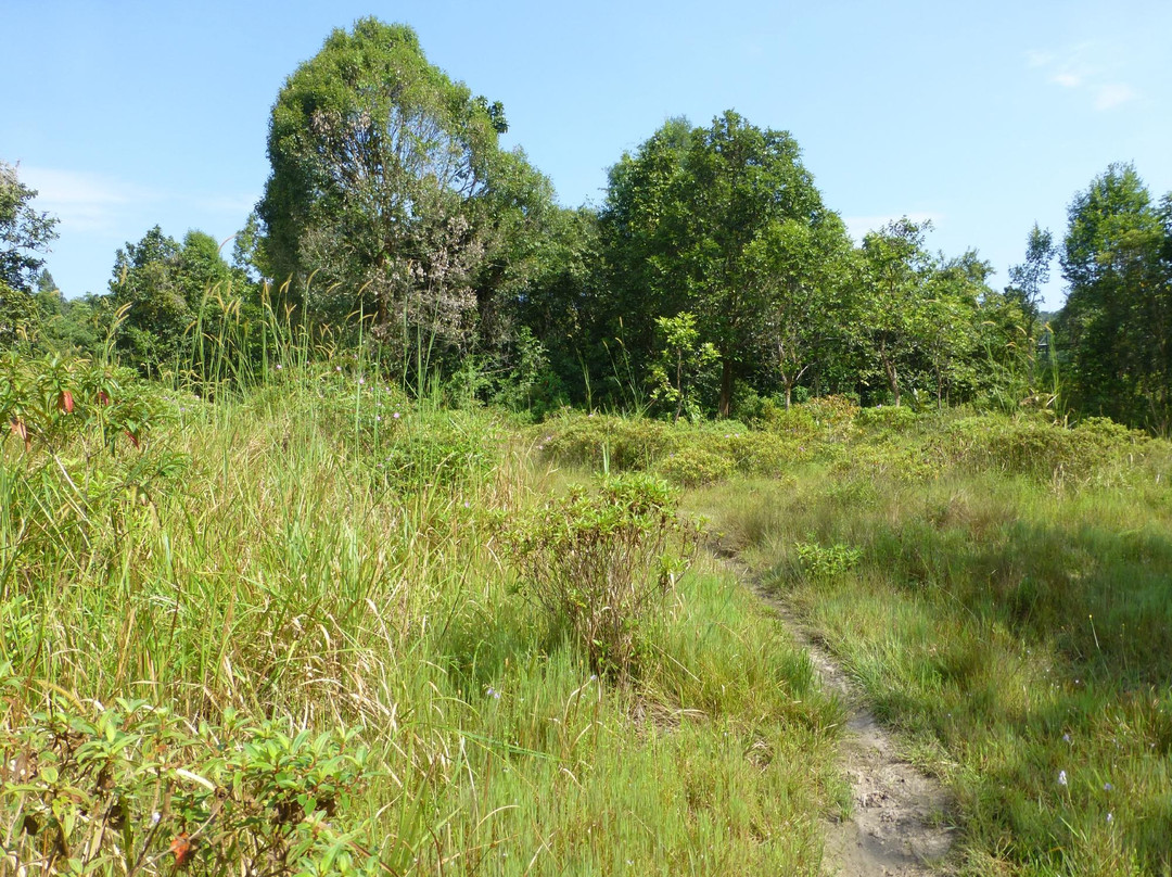 Wildlife Alliance-戈公必去景点