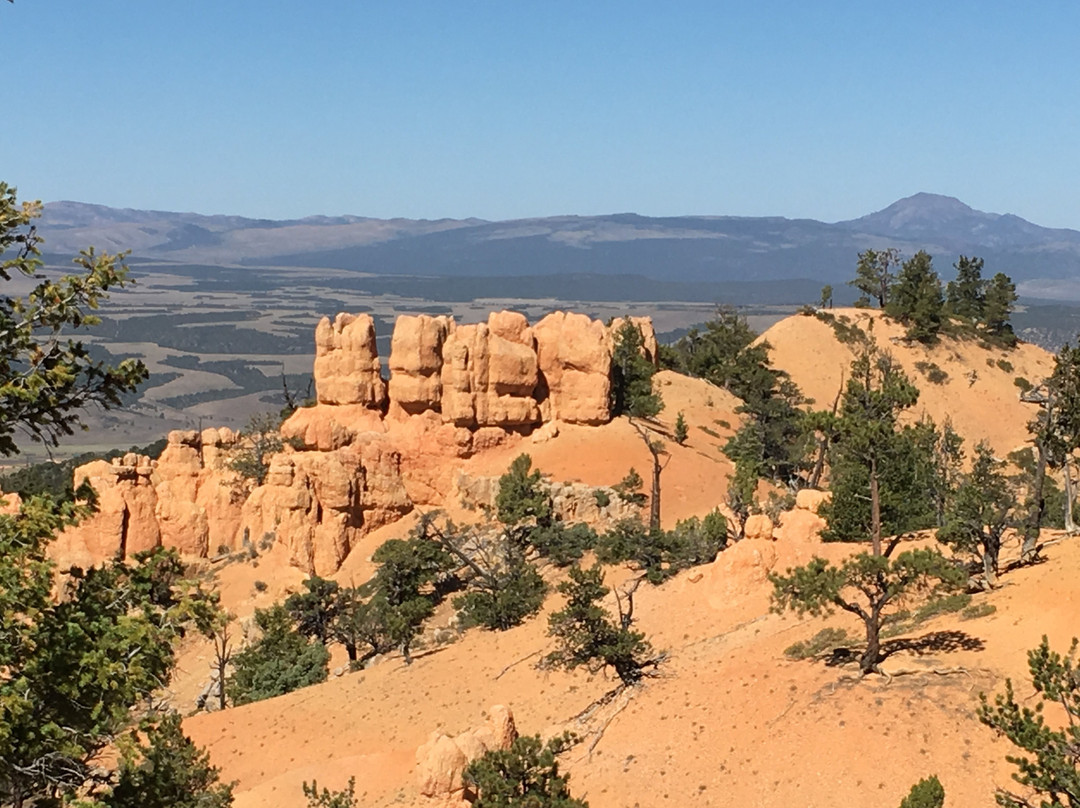 Ruby's Horseback Adventures