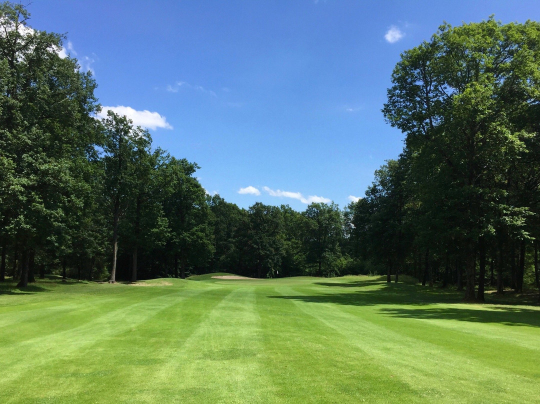 Golf Vichy Forêt de Montpensier景点图片