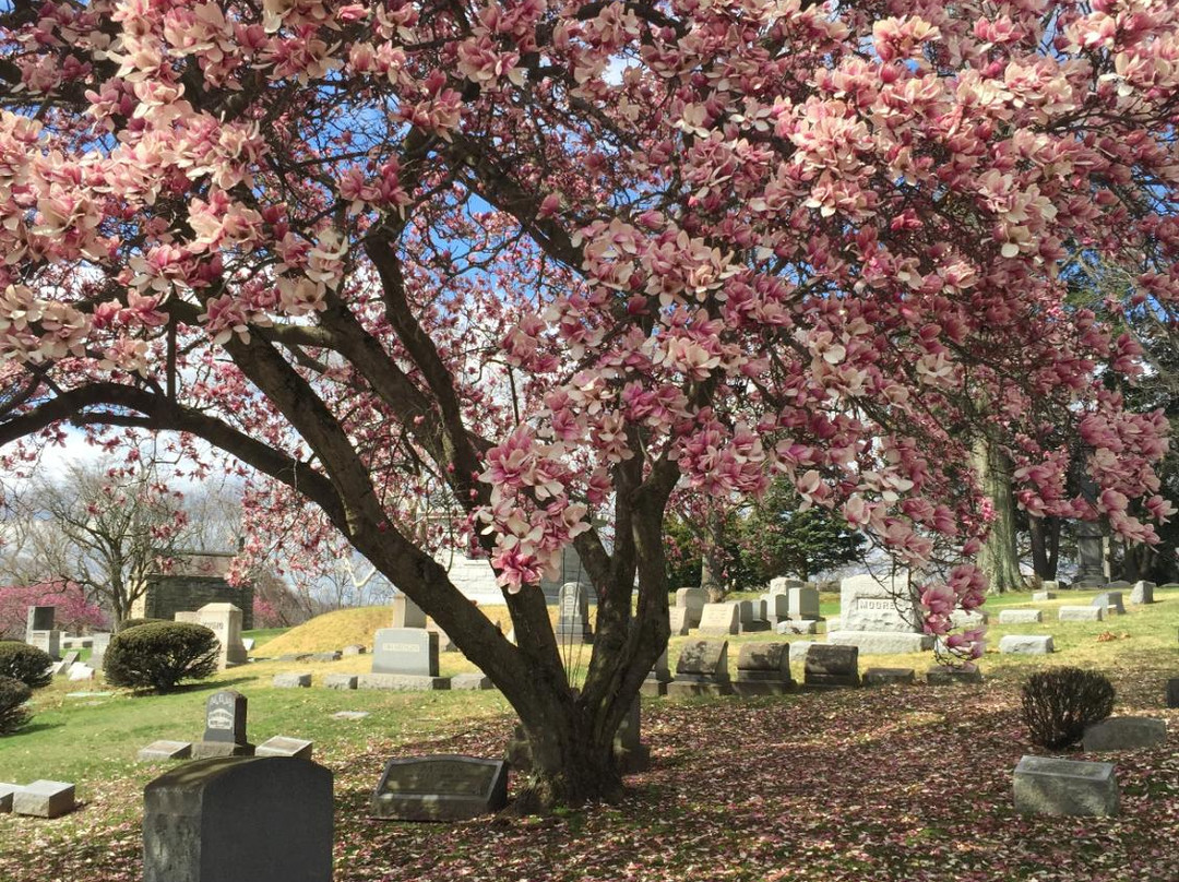 Sewickley Cemetery景点图片