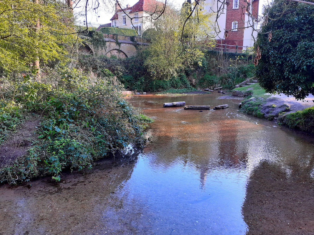 Ashwell Springs景点图片