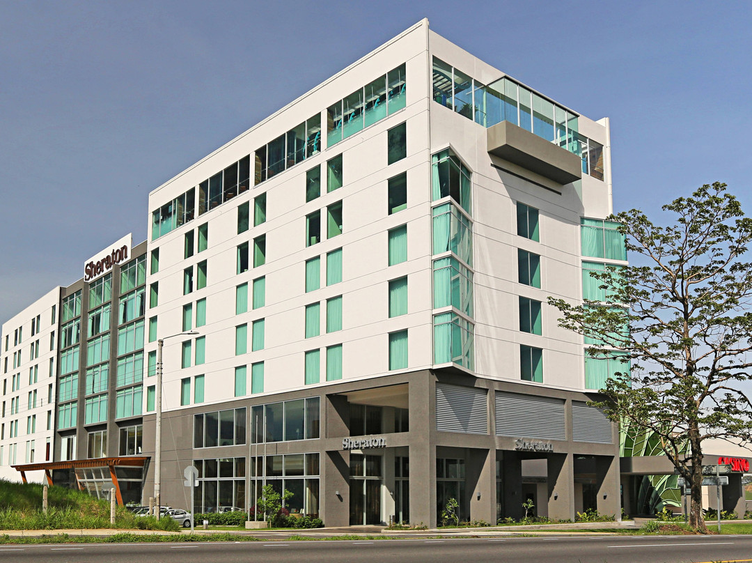 Sheraton San Jose Hotel, Costa Rica主图
