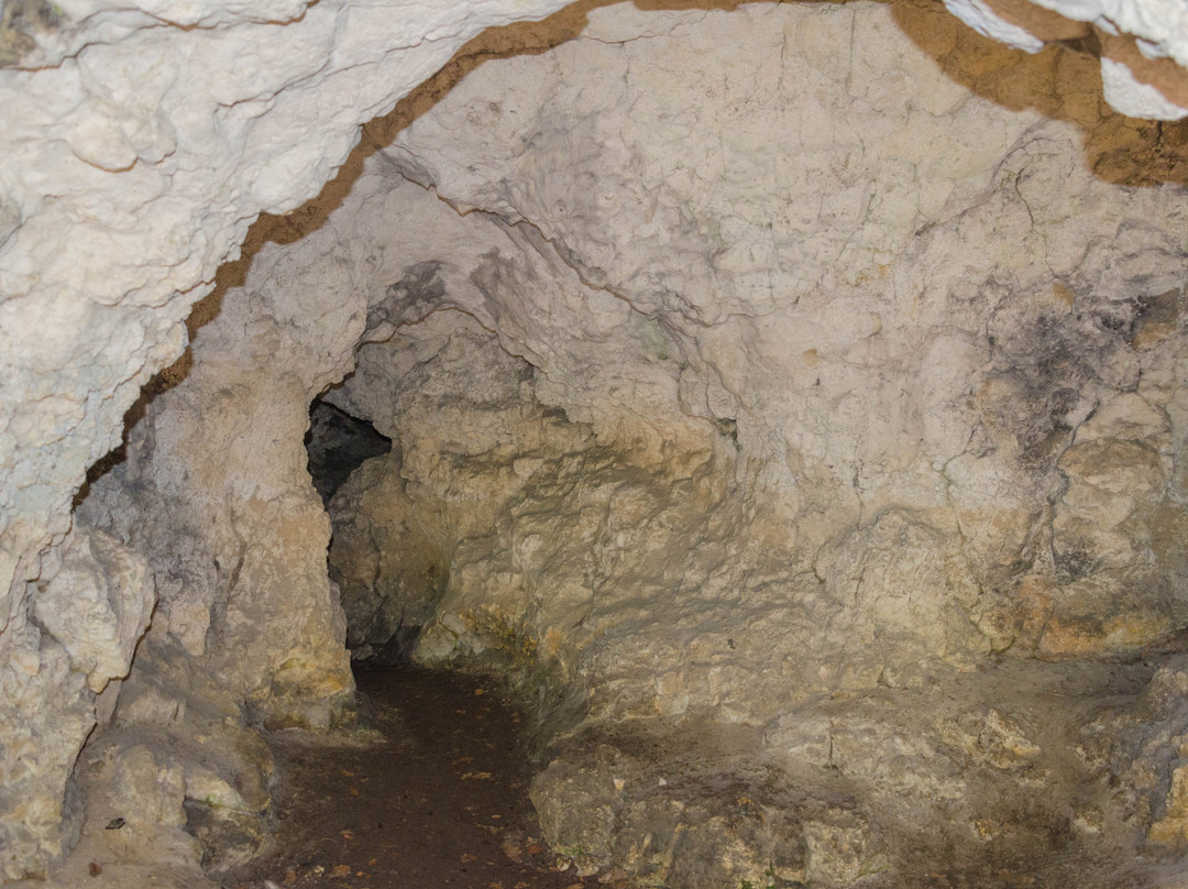 Jaskinia na Łopiankach景点图片