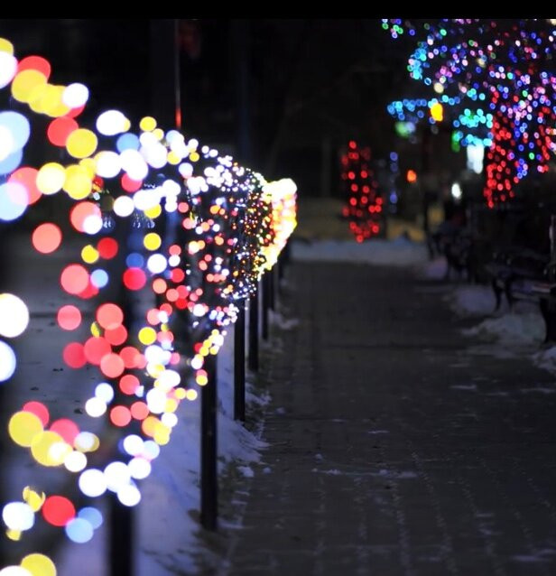 City Hall Park-红鹿市必去景点