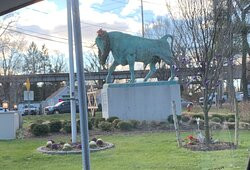 Whisper the Bull statue-Smithtown必去景点