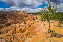 Rim Trail-布莱斯峡谷国家公园必去景点