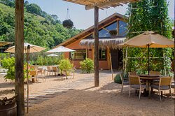 Go Organic Experience主图