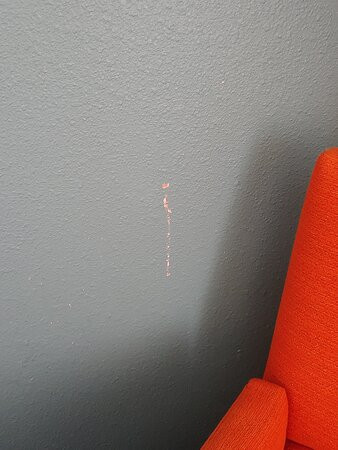 Fairfield by Marriott Inn & Suites Temple Belton主图