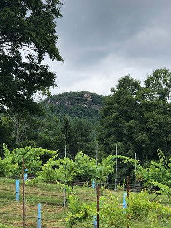 Torne Valley Vineyards景点图片