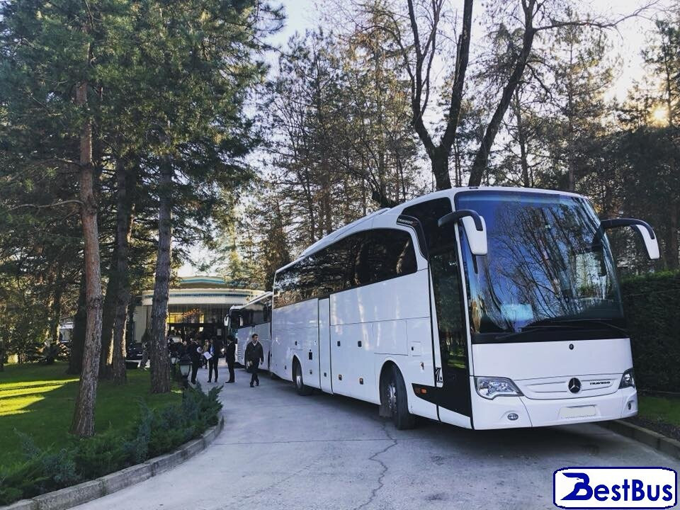 BestBus景点图片