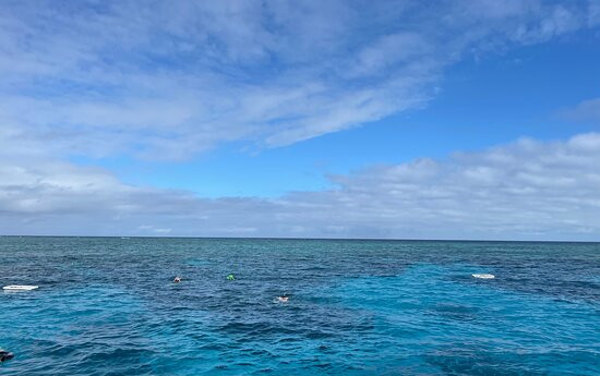 Dreamtime Dive and Snorkel-凯恩斯必去景点