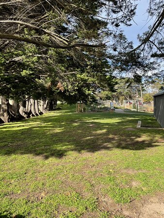 Lion's Memorial Park-Riddells Creek必去景点