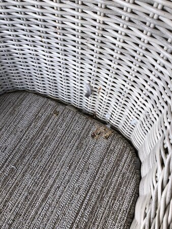 Hyatt Regency Coral Gables主图