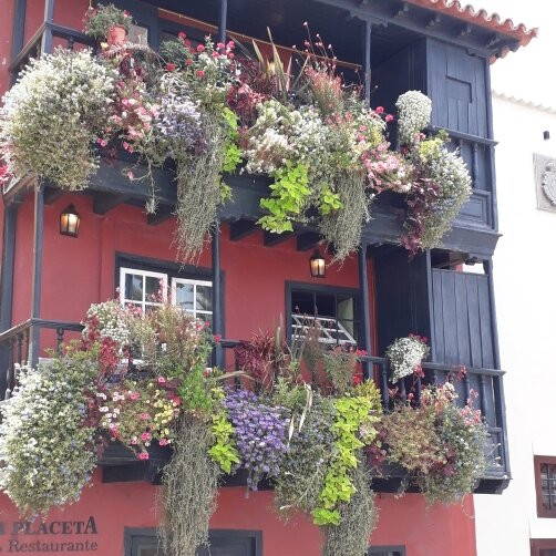 Balcones de la avenida Maritima景点图片