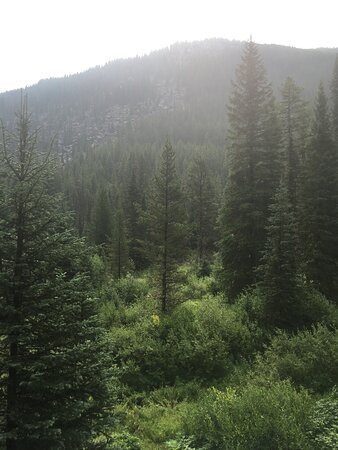 Lava Lake Trail-Gallatin Gateway必去景点