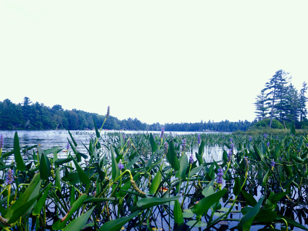 Keene's Lake Family Campground