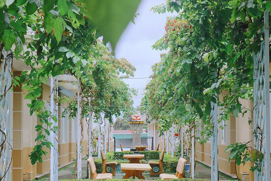 Khach san Sao Vang主图